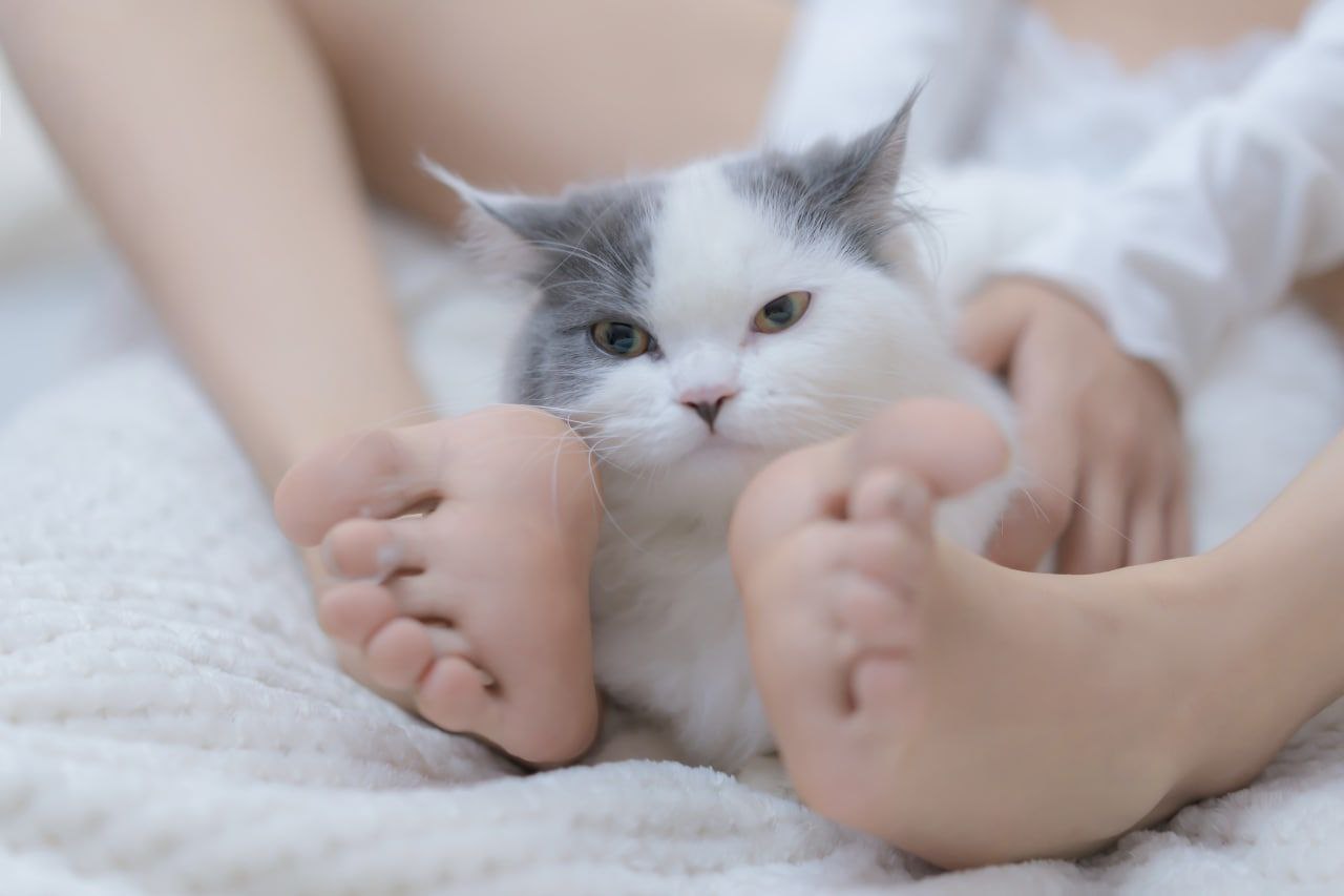 在线看片