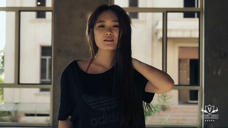 欧美一级视频一区