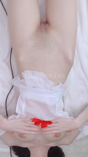 色屋屋导航