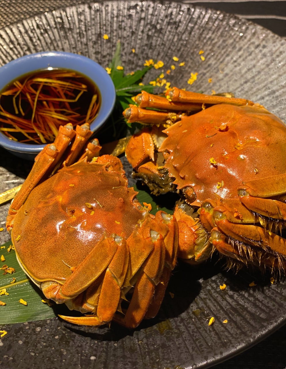 春纪我们约会吧