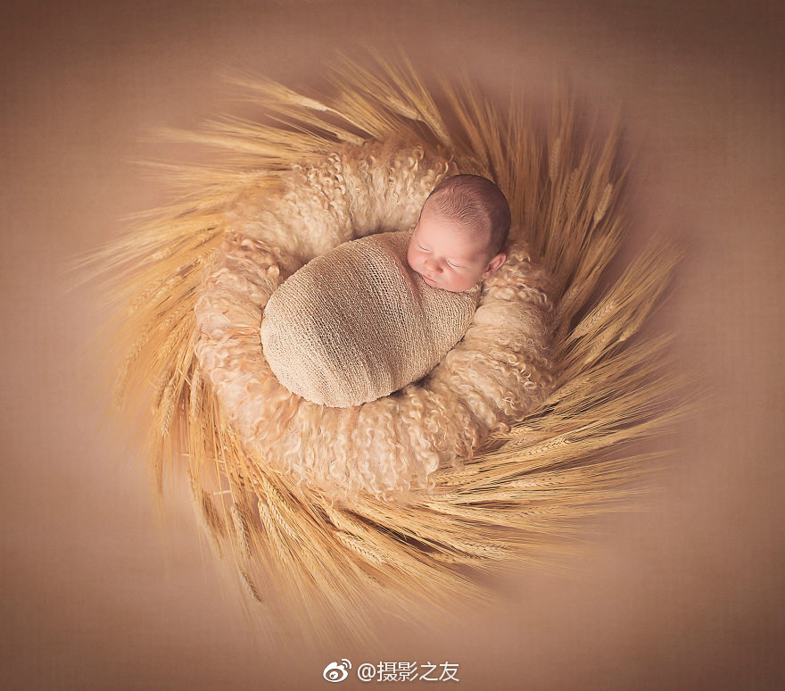 蓝光  猩球崛起2 連續劇