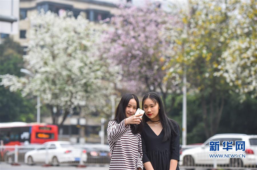 HD 5.9分 我的老婆是大佬3 連續劇