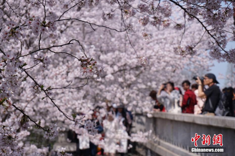 HD  天才除草人2(原声版) ）病入膏国王维京o饰連續劇