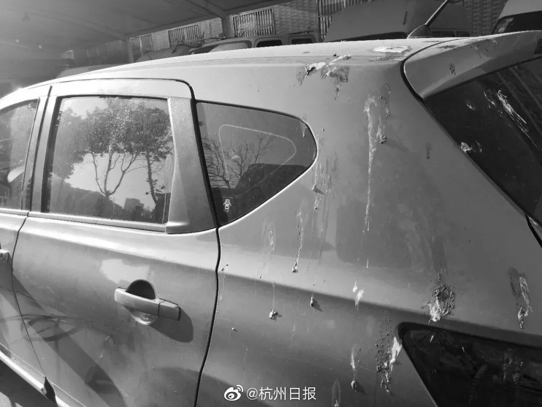 HD高清  镖旗飞扬 連續劇