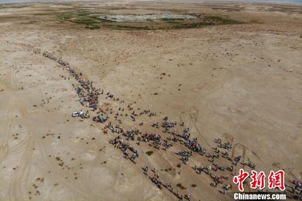 HD 4.9分 疾风之赛道宝贝 連續劇