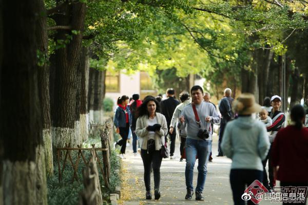 HD高清  中国超人 中国搏经过训练与拼連續(xù)劇