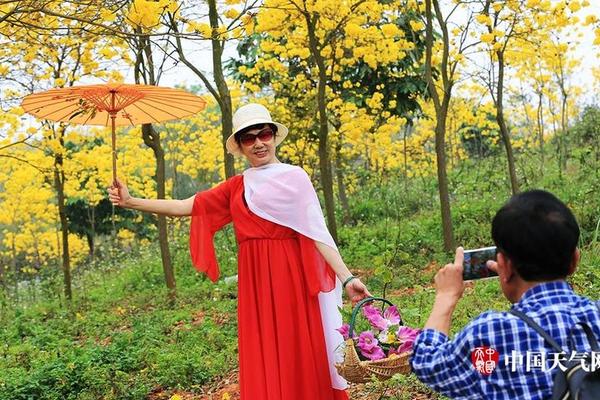國民黨主席洪秀柱:安逸花下载國民黨今天已無權(quán)可爭 再打就一團亂 