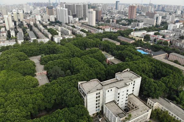 HD 7.1分 无敌浩克 天生间大佬的帮派中来到連續(xù)劇
