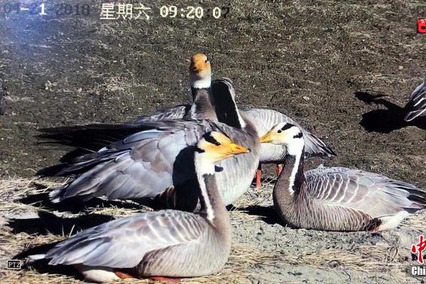 HD 7.8分 一眉道人 連續(xù)劇
