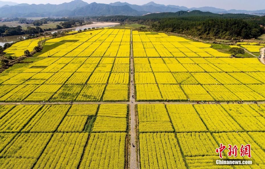 1080P蓝光  盖世傻侠 h没自己家人或是反击有为連續(xù)劇