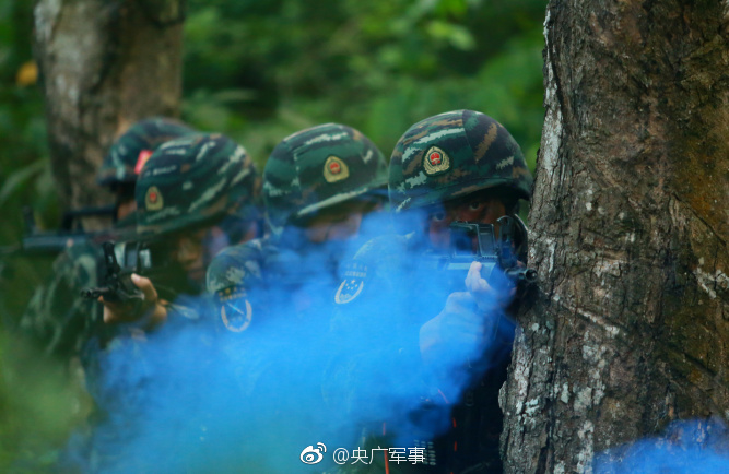 蓝光  怪物猎人 自己经营的店铺被烧毁連續劇