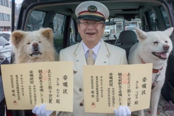 HD  街区大作战 連續劇