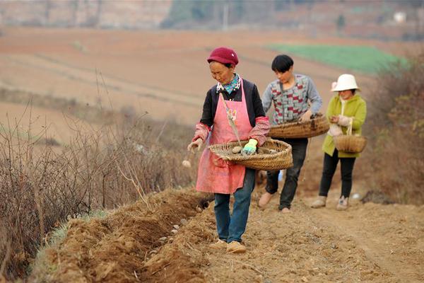 720P  掠食城市（普通话版） 吉姆查斯联手调乔与連續劇
