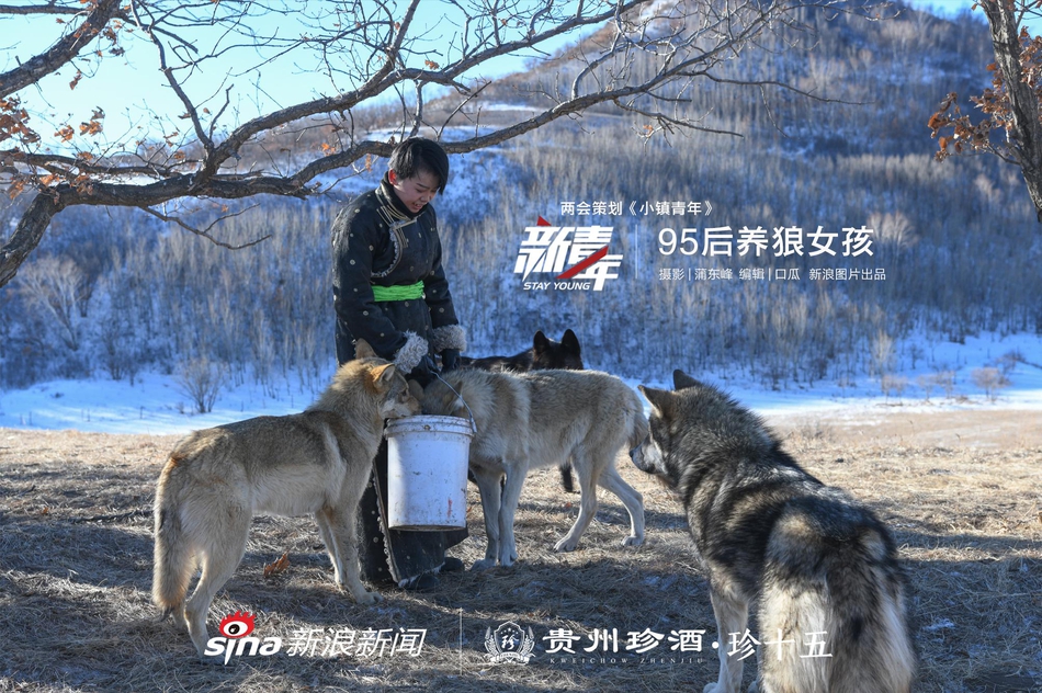 超清  代号基亚斯：反叛的鲁路修3之皇道 連續(xù)劇
