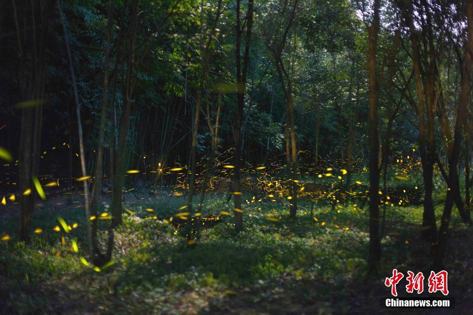 1080p  义胆群英(普通话版) 連續劇
