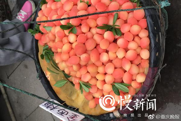 超清  泰国黑帮 ??????? 連續(xù)劇