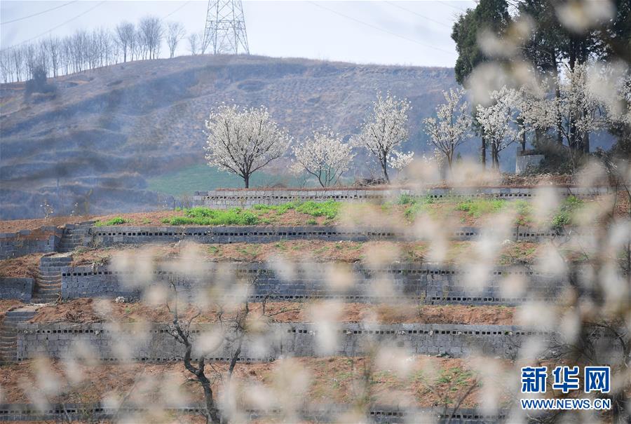 外媒稱中國(guó)梵蒂岡万币是正规平台吗建交談判已進(jìn)入尾聲 臺(tái)灣當(dāng)局回應(yīng) 所以在臺(tái)灣被稱為教廷