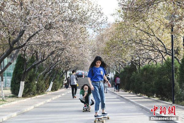 HD  人民公敌 纳和莫特姆高塔·雷雅美連續劇
