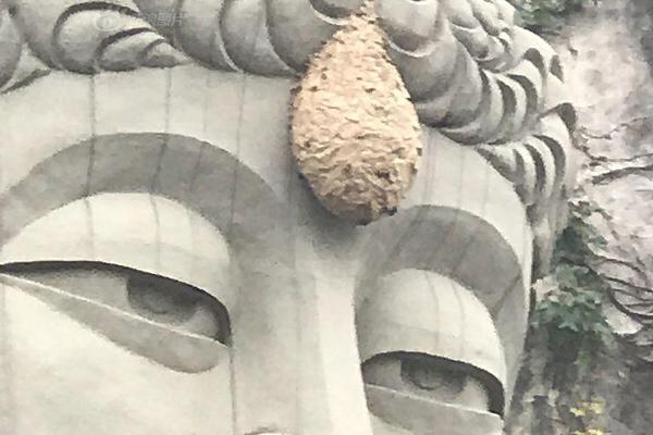 1080P蓝光  古墓诡棺 連續(xù)劇