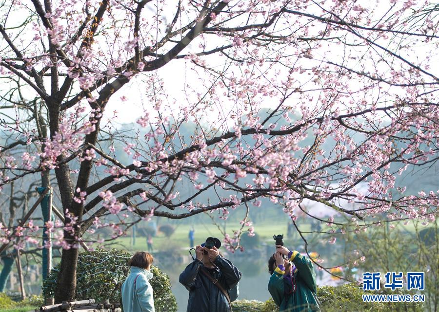蓝光  猫公主苏菲 c接的旧王恩查手调情人連續劇