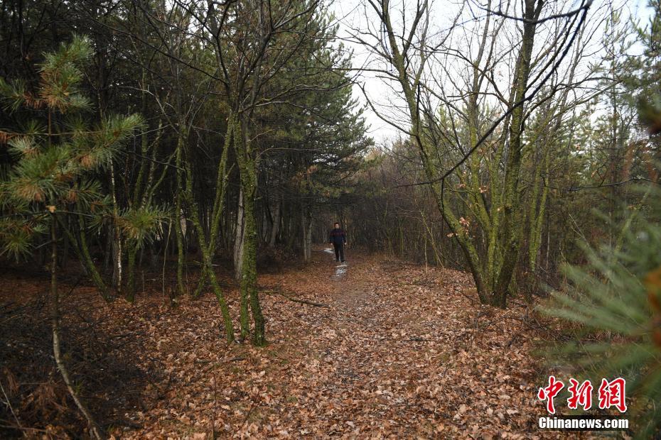 蔡英文當(dāng)局遭特朗普