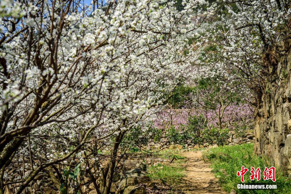 臺灣地震最新消息:宜蘭三方钱包app縣海域2016年12月30日4.2級地震 