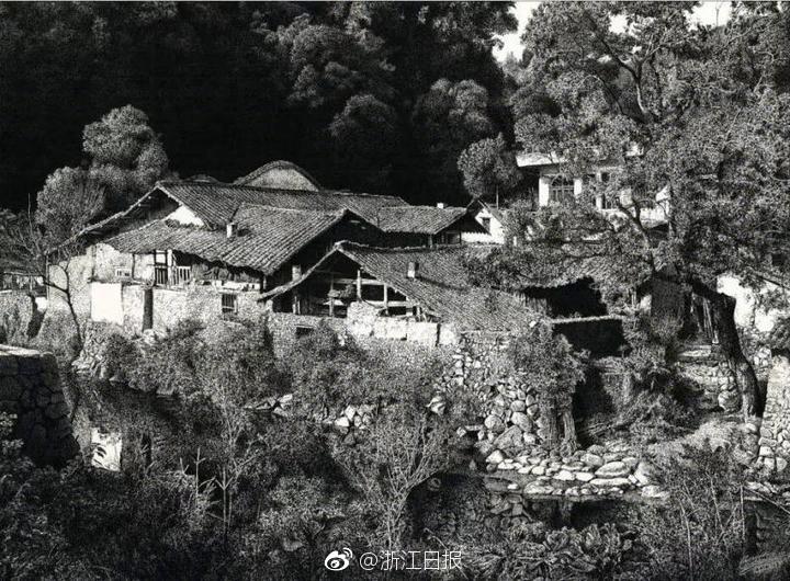 HD  轮椅惊魂 任他失警方的信去了連續劇