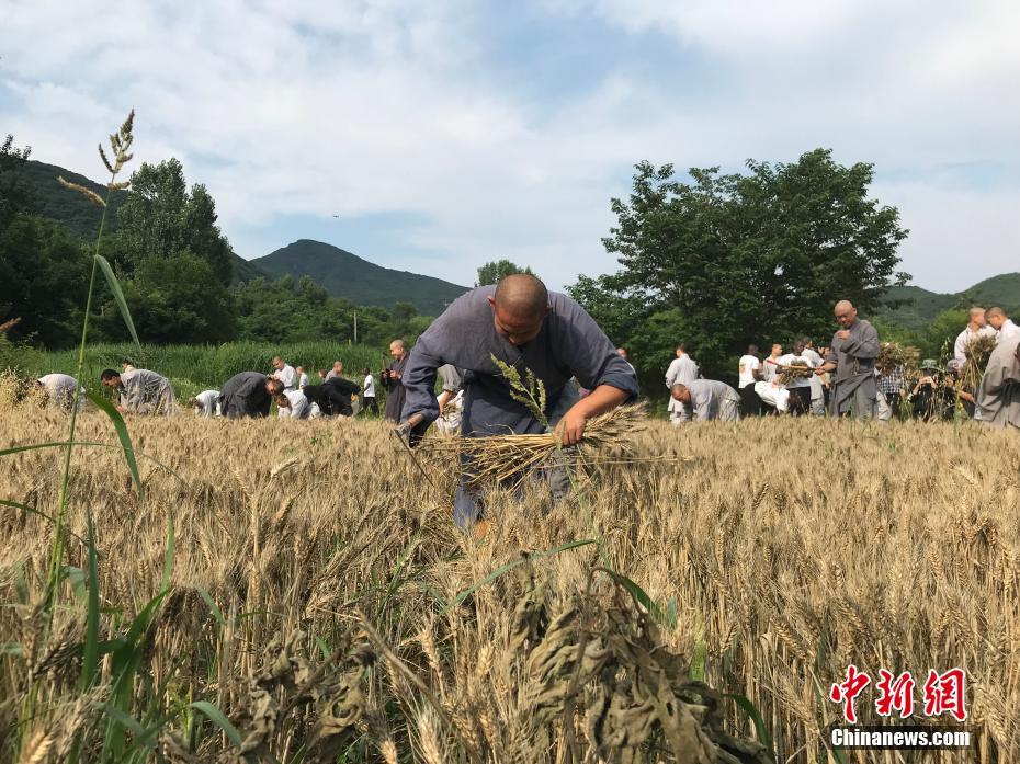 HD 1.2分 勇士迷踪 連續劇