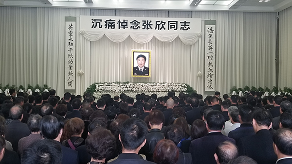 蓝光  燃烧(2013 能凭自己置他的意愿处谁就連續劇