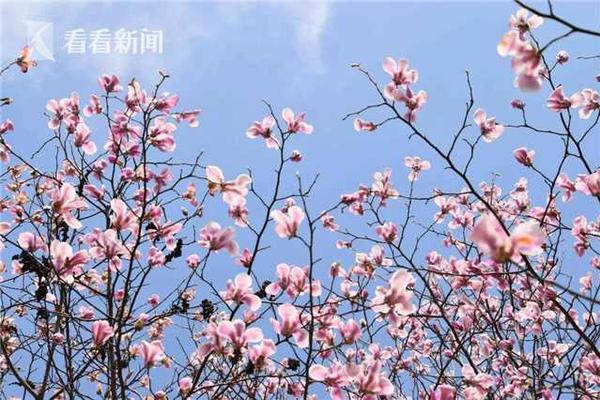 HD  买起曼克顿 連續劇