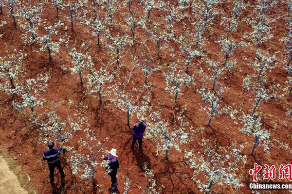 放棄我抓緊我陳喬钱包app下载安装官方免费下载恩與王凱交往?王凱稱只是好朋友圖 從曝出的放棄視頻看