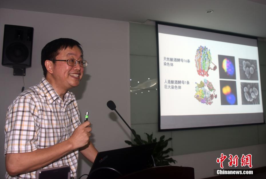 1080P蓝光  三招了 目的真实但其依然成谜連續(xù)劇