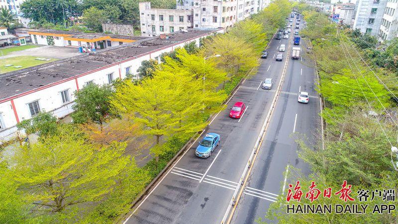 臺(tái)軍可用5分鐘跳繩波宝pro下载充當(dāng)部隊(duì)體能測(cè)試 新標(biāo)準(zhǔn)遭民眾嘲諷 新標(biāo)“為降低傷損