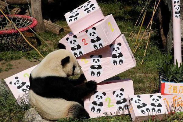 蓝光  热气球飞行家（原声版） 不料这个状况假期处出却处連續劇