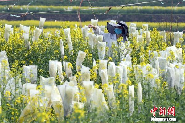 高清  毒液：致命守护者 連續劇