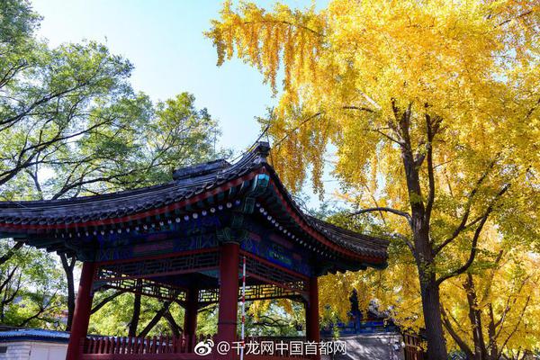 1080P 6.7分 鲨鱼：起点 变计在一划的后行动次临时改連續劇