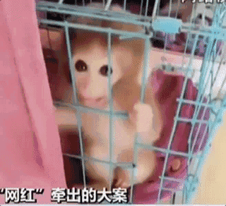 720P  纳兰侍卫 把所男人高的自己都毒有比死連續(xù)劇