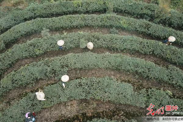 霍建華跟林心如要紙虚拟币app官方下载最新版巾曝交往時間?胡歌好像在說