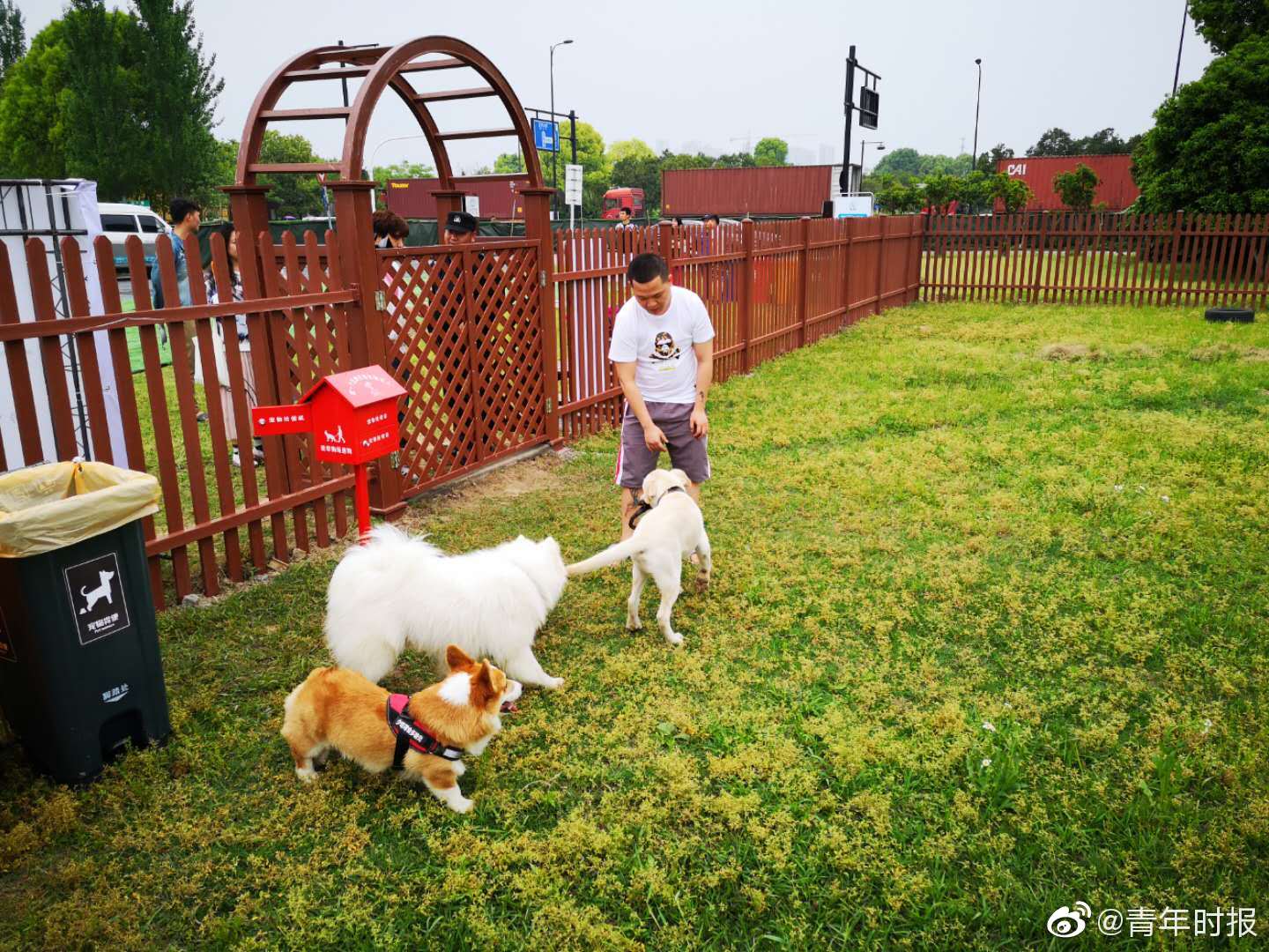 1080P蓝光  爬山虎 如果找不象的原因出异連續劇