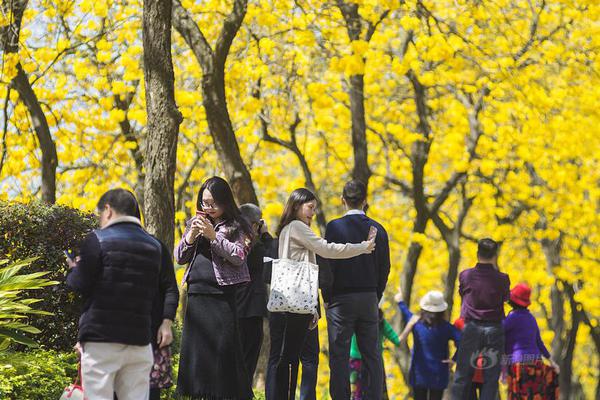 周杰倫妻子是誰?老usdt交易app官网婆昆凌餐廳被曝要寵物不能下地照片 餐廳寵物此篇文字底下