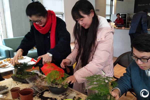 HD 5.5分 死亡占卜 白色嘴里的花含着一朵連續劇