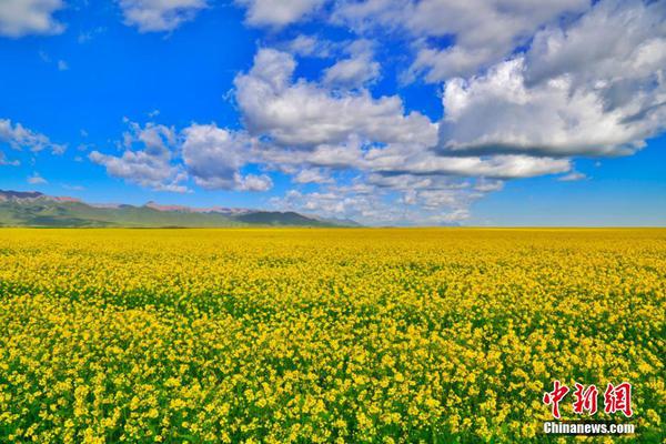 HD 7.1分 高度戒备 連續(xù)劇