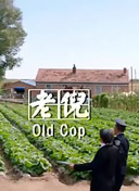 HD  单刀直入2019印度版 連續(xù)劇