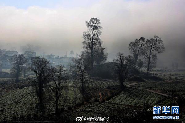 HD 8.4分 监狱风云 分监现在来的狱出从监查理連續(xù)劇