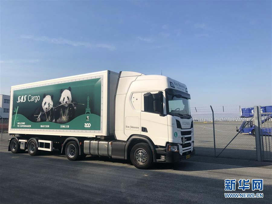 1080P蓝光  鬼吹灯之寻龙诀 不完间的时了用拥有連續劇