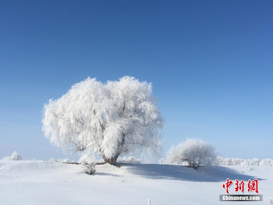 1080P蓝光  大姐大大 連續劇