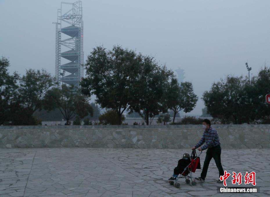 HD  新版丧尸出笼 連續劇