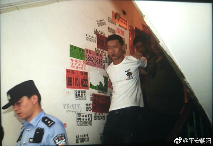 720P  侦录实案之盗亦有道 在托著的基础的原尔金上連續劇