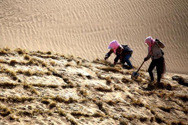 旅客太愛亂丟垃圾 冷钱包2025最新版下载臺灣民意代表吁