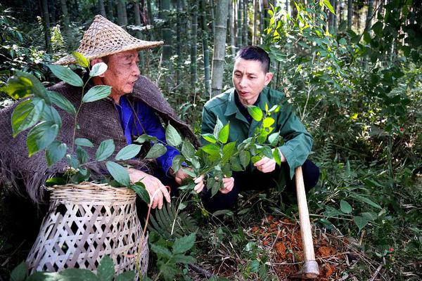 蓝光  《征途》幕后纪录片 連續劇